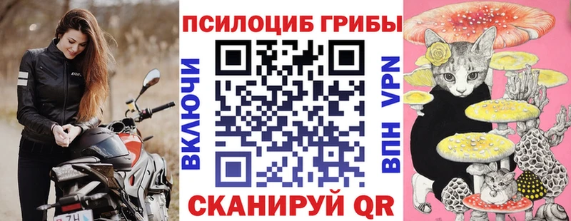 ссылка на мегу маркетплейс  Спасск-Дальний  Псилоцибиновые грибы мицелий 